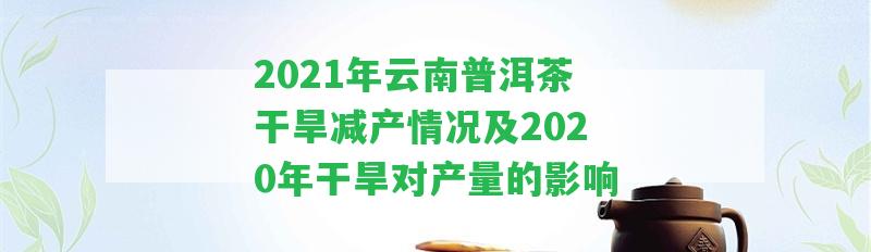 2021年云南普洱茶干旱減產(chǎn)情況及2020年干旱對(duì)產(chǎn)量的作用