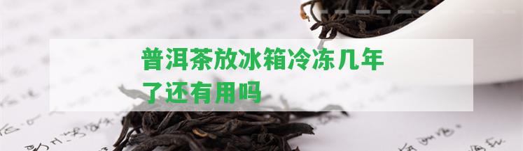 普洱茶放冰箱冷凍幾年了還有用嗎