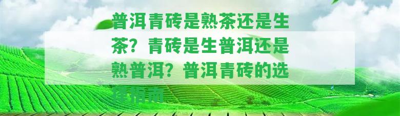 普洱青磚是熟茶還是生茶？青磚是生普洱還是熟普洱？普洱青磚的選擇指南