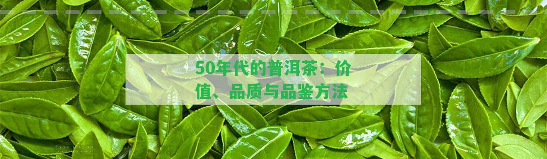 50年代的普洱茶：價(jià)值、品質(zhì)與品鑒方法