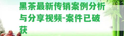 黑茶最新案例分析與分享視頻-案件已破獲