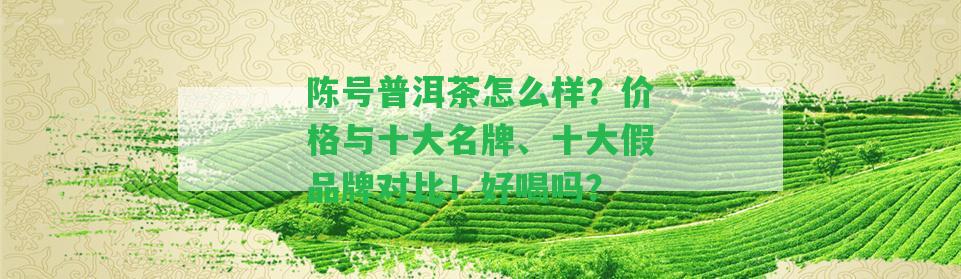 陳號普洱茶怎么樣？價格與十大名牌、十大假品牌對比！好喝嗎？