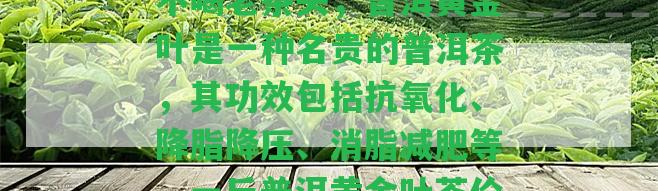 普洱黃金葉的功效與作用：生不喝黃金葉，熟不喝老茶頭，普洱黃金葉是一種名貴的普洱茶，其功效包含抗氧化、降脂降壓、消脂減肥等，一斤普洱黃金葉茶價格在幾百元至上千元不等。