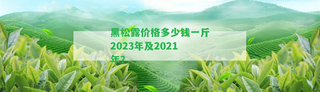 黑松露價(jià)格多少錢一斤2023年及2021年？