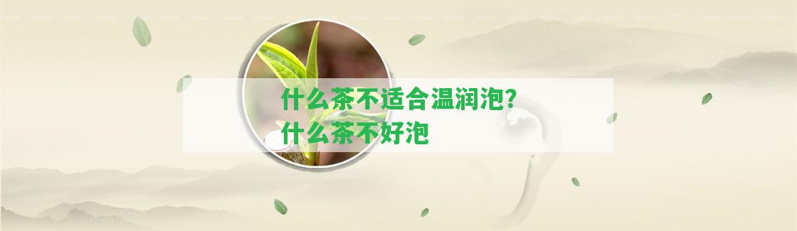 什么茶不適合溫潤泡？什么茶不好泡