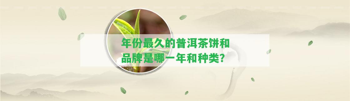 年份最久的普洱茶餅和品牌是哪一年和種類？