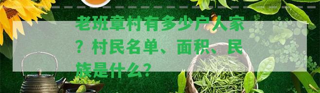 老班章村有多少戶人家？村民名單、面積、民族是什么？