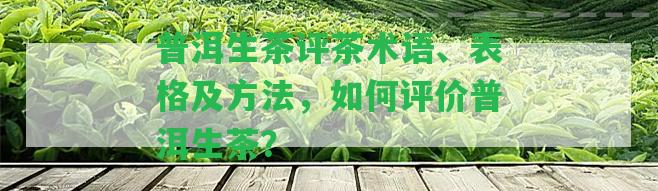 普洱生茶評茶術語、表格及方法，怎樣評價普洱生茶？