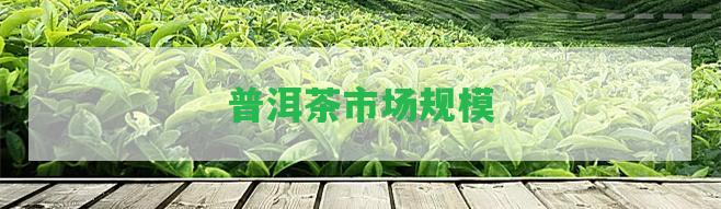 普洱茶市場規(guī)模