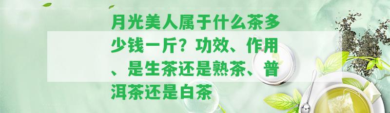 月光美人屬于什么茶多少錢一斤？功效、作用、是生茶還是熟茶、普洱茶還是白茶