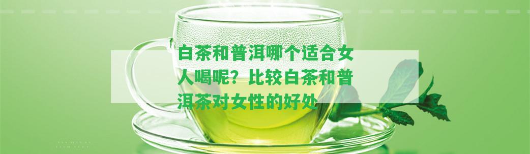 白茶和普洱哪個適合女人喝呢？比較白茶和普洱茶對女性的好處