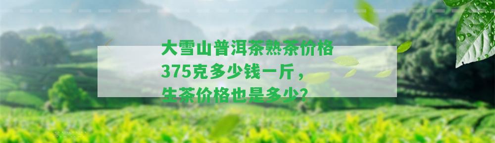 大雪山普洱茶熟茶價格375克多少錢一斤，生茶價格也是多少？