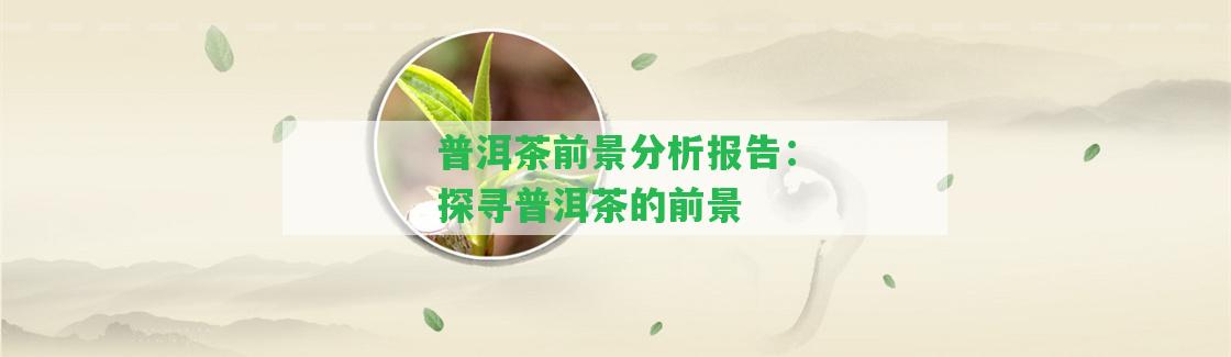 普洱茶前景分析報告：探尋普洱茶的前景