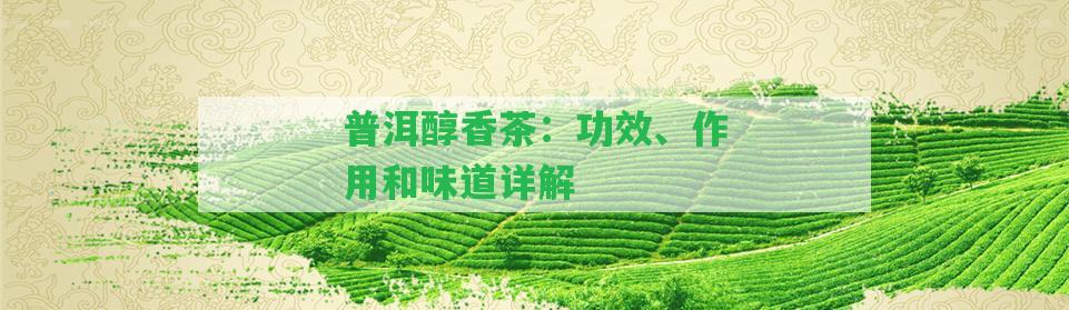 普洱醇香茶：功效、作用和味道詳解