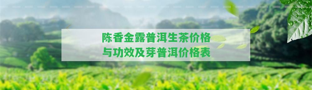 陳香金露普洱生茶價(jià)格與功效及芽普洱價(jià)格表