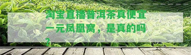 淘寶直播普洱茶真便宜一元鳳凰窩，是真的嗎？