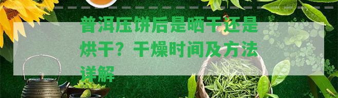 普洱壓餅后是曬干還是烘干？干燥時間及方法詳解