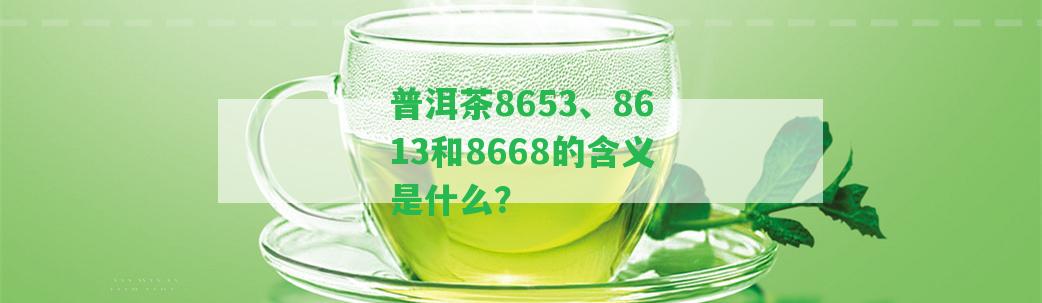 普洱茶8653、8613和8668的含義是什么？