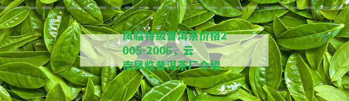 鳳臨特級普洱茶價(jià)格2005-2006，云南鳳臨普洱茶廠介紹