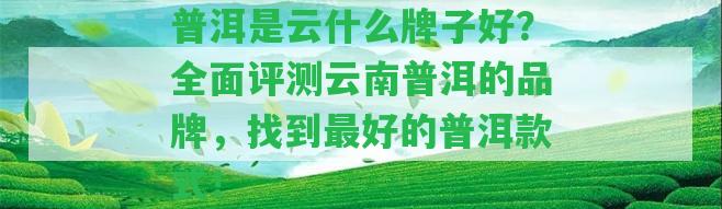 普洱是云什么牌子好？全面評測云南普洱的品牌，找到最好的普洱款式！