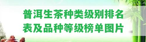 普洱生茶種類級別排名表及品種等級榜單圖片