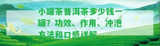 小罐茶普洱茶多少錢一罐？功效、作用、沖泡方法和口感詳解