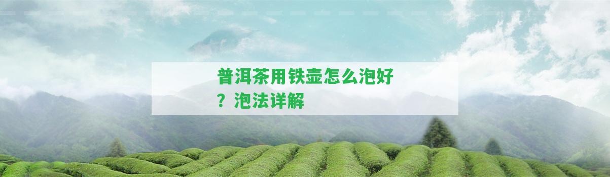 普洱茶用鐵壺怎么泡好？泡法詳解