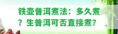 鐵壺普洱煮法：多久煮？生普洱可否直接煮？