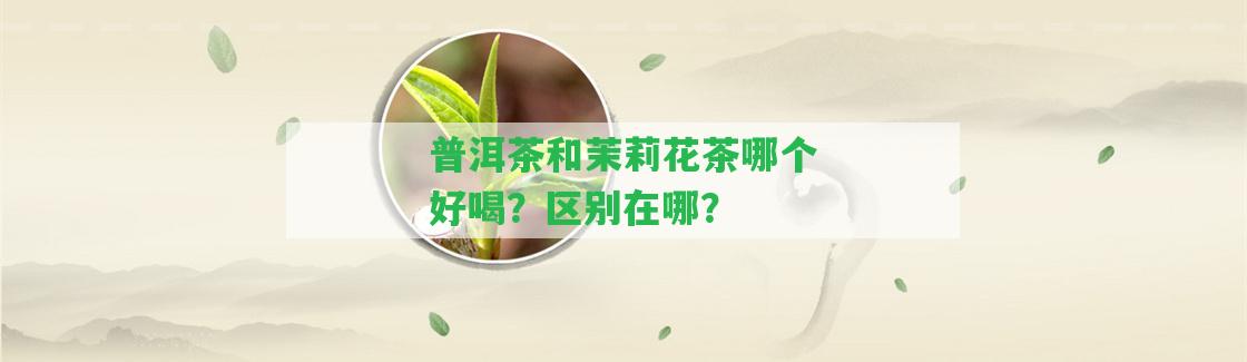 普洱茶和茉莉花茶哪個好喝？區(qū)別在哪？