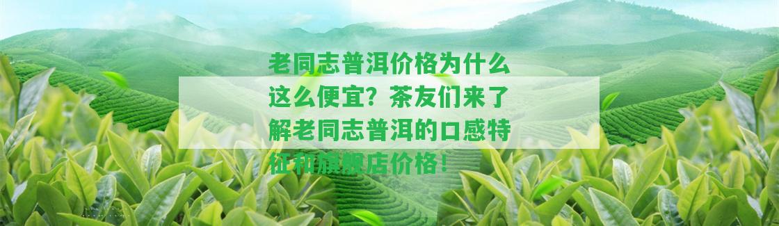 老同志普洱價(jià)格為什么這么便宜？茶友們來熟悉老同志普洱的口感特征和旗艦店價(jià)格！