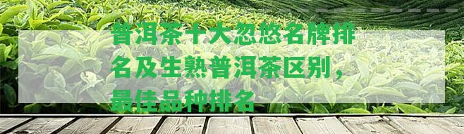 普洱茶十大忽悠名牌排名及生熟普洱茶區(qū)別，最佳品種排名