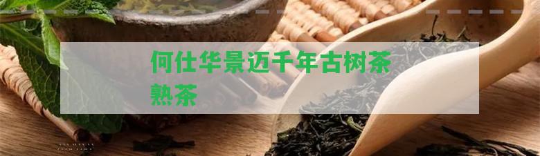 何仕華景邁千年古樹茶熟茶