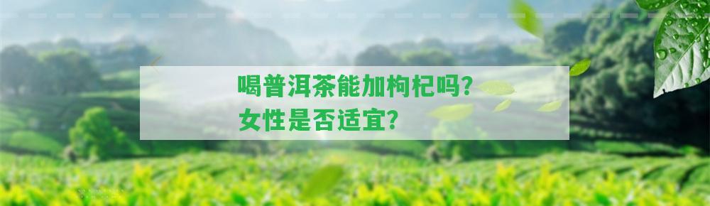 喝普洱茶能加枸杞嗎？女性是不是適宜？