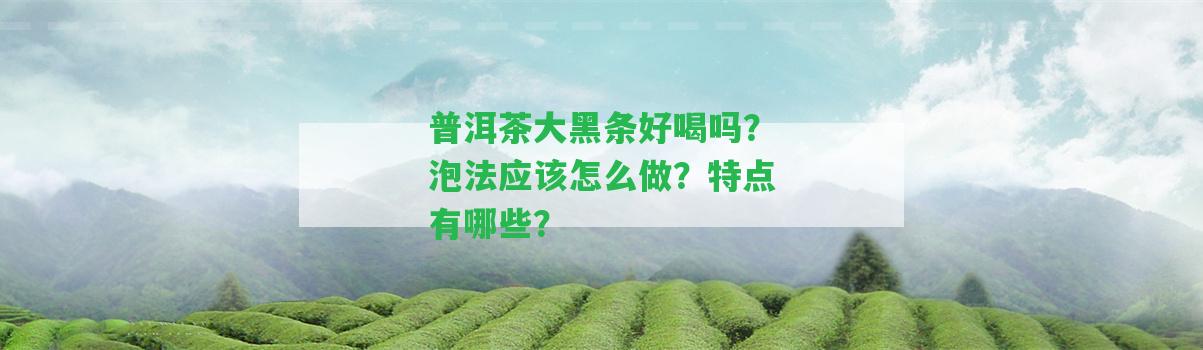 普洱茶大黑條好喝嗎？泡法應(yīng)怎么做？特點(diǎn)有哪些？