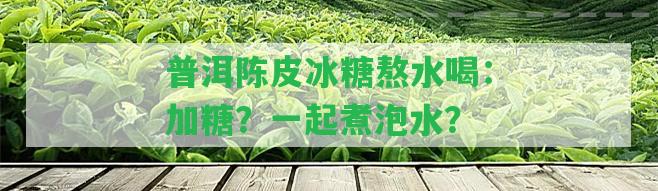 普洱陳皮冰糖熬水喝：加糖？一起煮泡水？