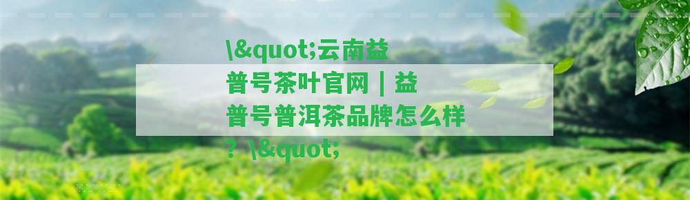 \"云南益普號(hào)茶葉官網(wǎng) | 益普號(hào)普洱茶品牌怎么樣？\"