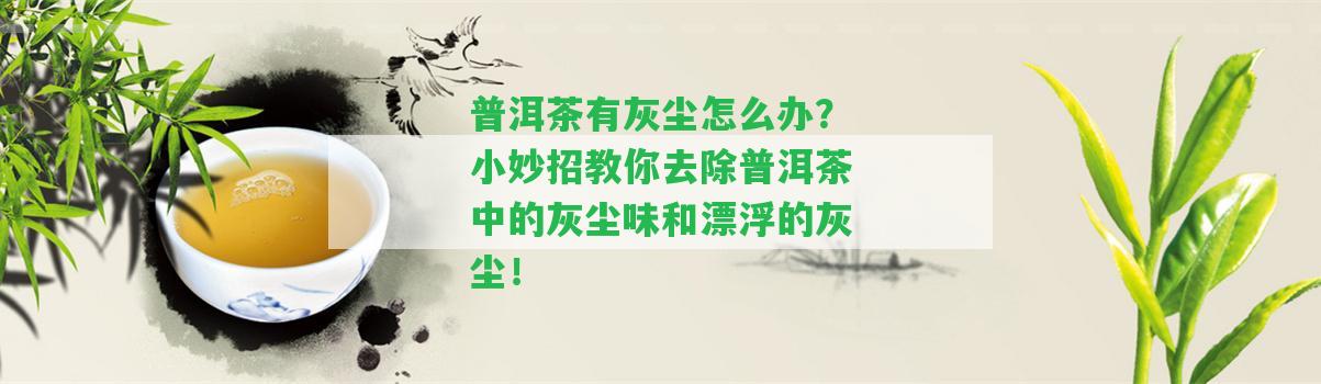 普洱茶有灰塵怎么辦？小妙招教你去除普洱茶中的灰塵味和漂浮的灰塵！