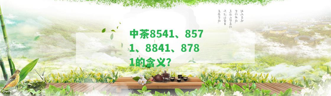 中茶8541、8571、8841、8781的含義？