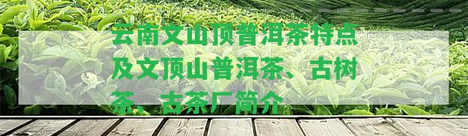 云南文山頂普洱茶特點(diǎn)及文頂山普洱茶、古樹(shù)茶、古茶廠簡(jiǎn)介