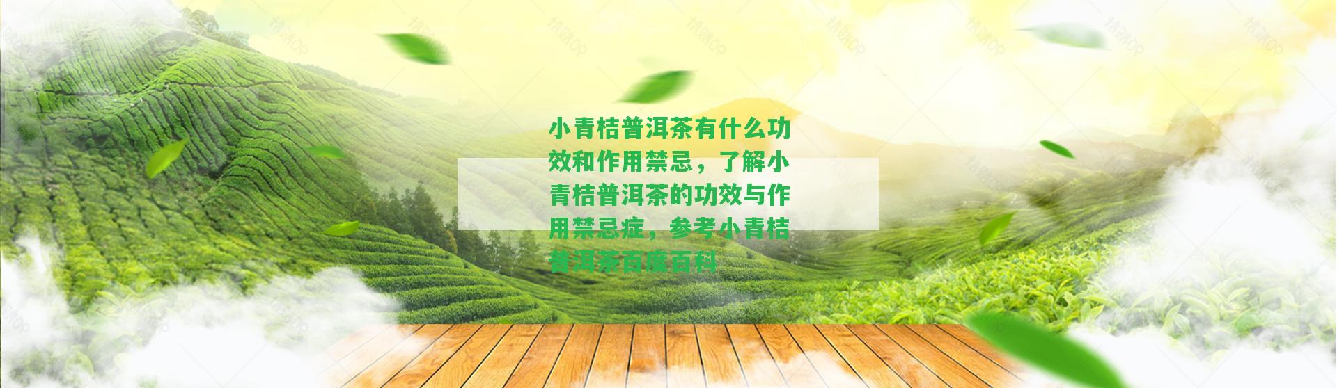 小青桔普洱茶有什么功效和作用禁忌，熟悉小青桔普洱茶的功效與作用禁忌癥，參考小青桔普洱茶百度百科