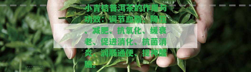 小青桔普洱茶的作用與功效：調(diào)節(jié)血脂、降壓、減肥、抗氧化、緩衰老、促進(jìn)消化、抗菌消炎、潤(rùn)腸通便、提神醒腦。