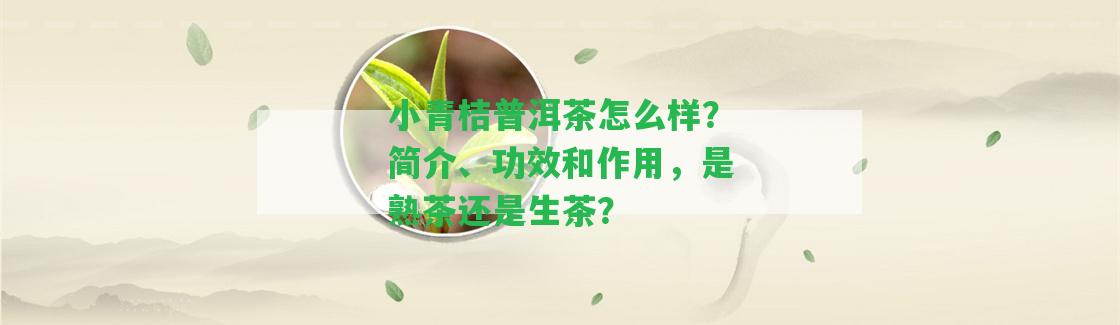 小青桔普洱茶怎么樣？簡介、功效和作用，是熟茶還是生茶？