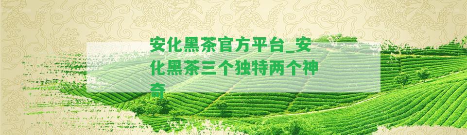 安化黑茶官方平臺(tái)_安化黑茶三個(gè)特別兩個(gè)神奇