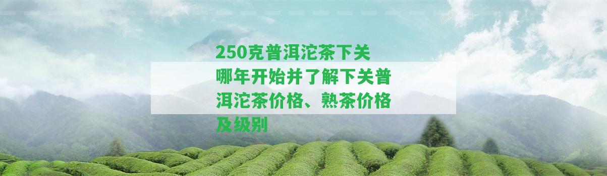 250克普洱沱茶下關(guān)哪年開始并熟悉下關(guān)普洱沱茶價(jià)格、熟茶價(jià)格及級別