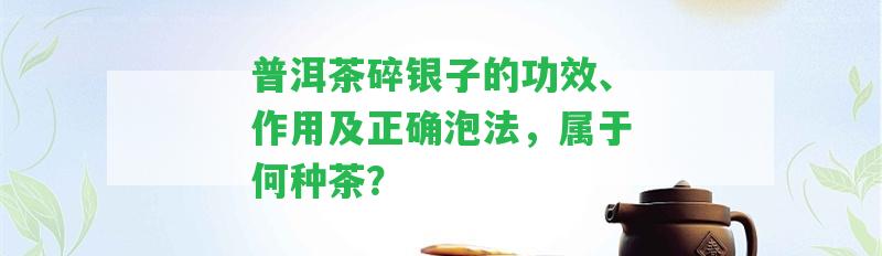 普洱茶碎銀子的功效、作用及正確泡法，屬于何種茶？