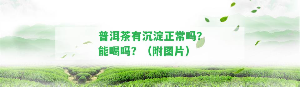 普洱茶有沉淀正常嗎？能喝嗎？（附圖片）