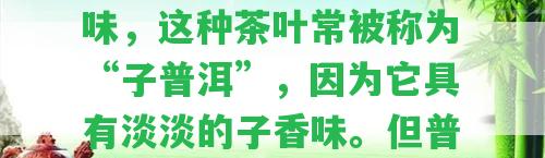 普洱茶為什么是子形狀？其起因和普洱茶的口感有關(guān)，普洱生茶有子味，這類茶葉常被稱為“子普洱”，因?yàn)樗哂械淖酉阄丁５斩枋遣皇怯凶游恫⒉皇撬腥硕枷矚g的，這取決于個(gè)人口感。