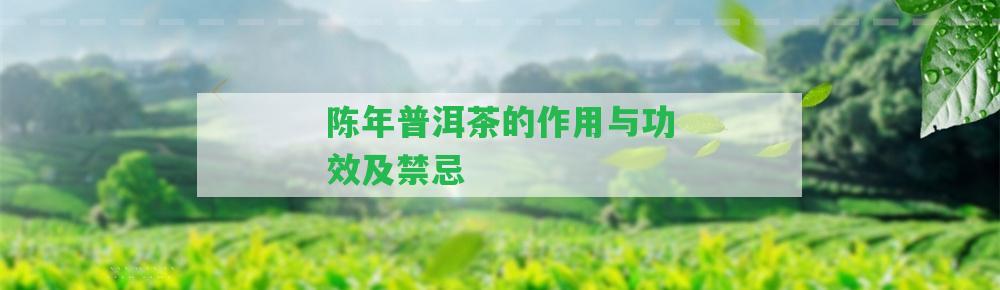 陳年普洱茶的作用與功效及禁忌