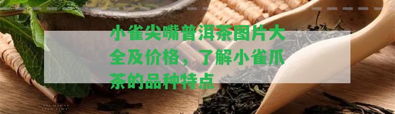 小雀尖嘴普洱茶圖片大全及價格，熟悉小雀爪茶的品種特點