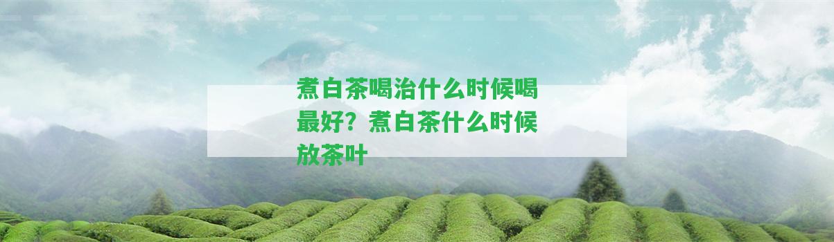 煮白茶喝治什么時(shí)候喝最好？煮白茶什么時(shí)候放茶葉